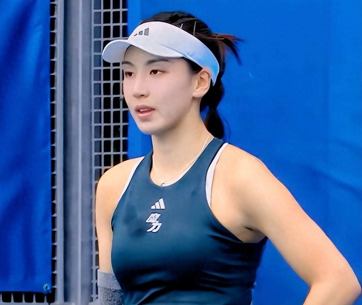 熊艾丽雅便 熊艾丽雅便